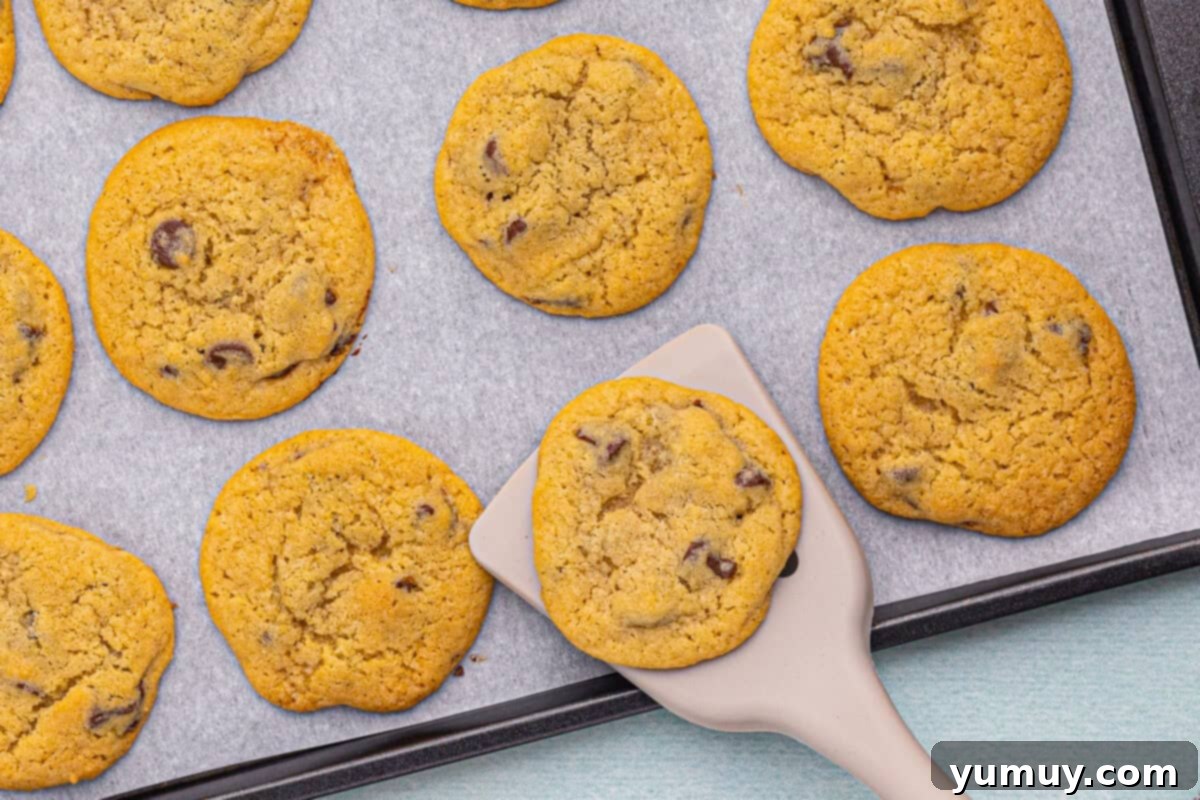 chocolate chip cookies on baking sheet