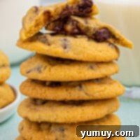 stacked chocolate chip cookies