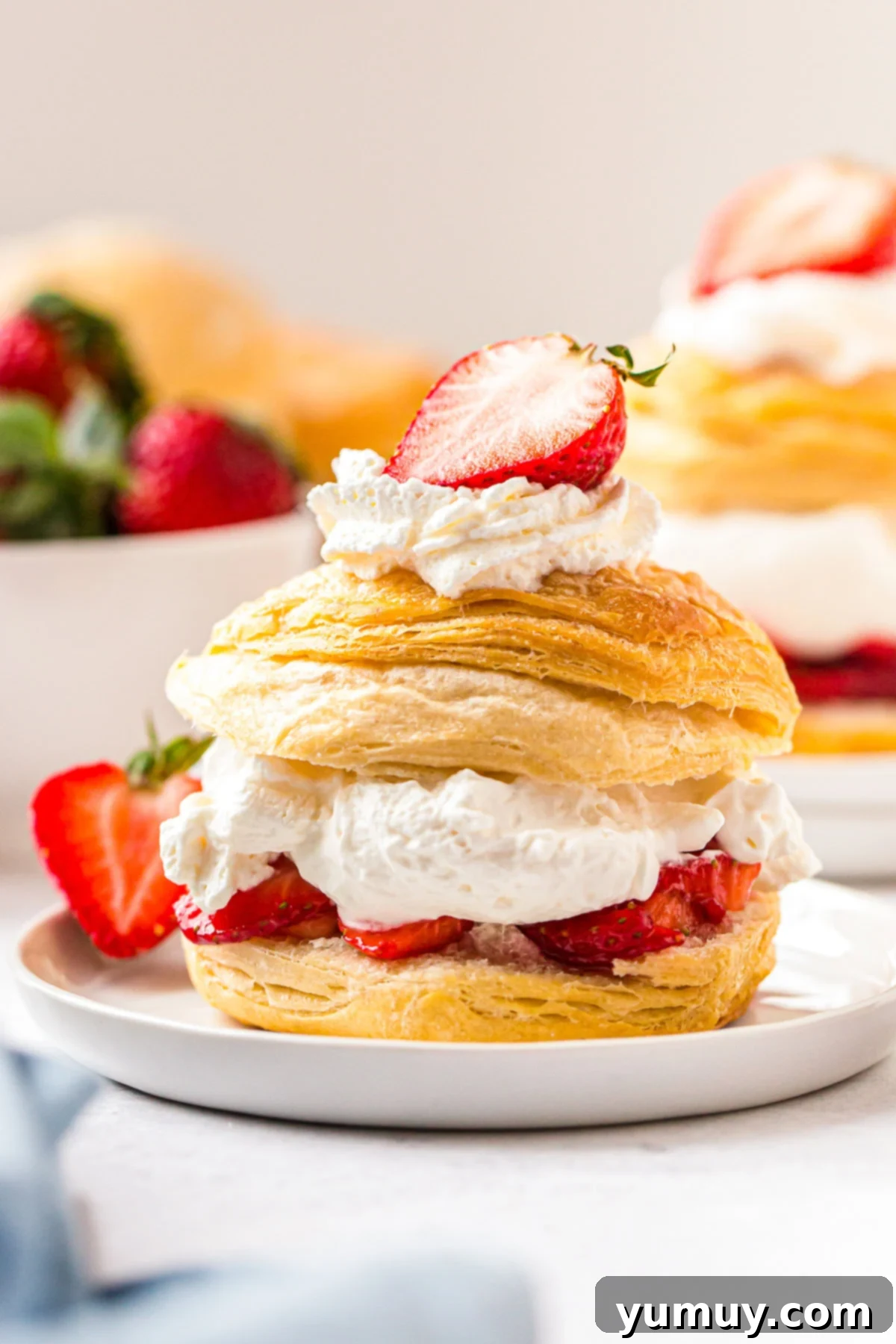 A beautifully plated strawberry shortcake on a white dish, showcasing the golden biscuit, fresh red strawberries, and creamy white whipped topping.