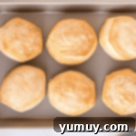 Six golden-brown, baked biscuits cooling on a wire rack after being removed from the oven.