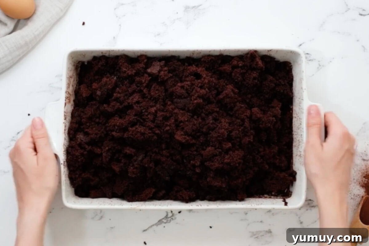 Bite Sized Chocolate Delights 17 Baked chocolate cake broken into fine, fluffy crumbles, ready to be mixed with frosting.