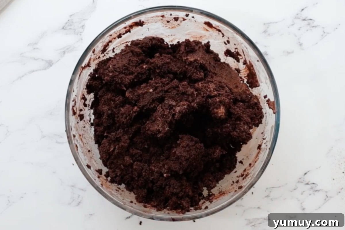 Bite Sized Chocolate Delights 18 Chocolate cake pop mixture, a blend of cake crumbles and frosting, in a mixing bowl.