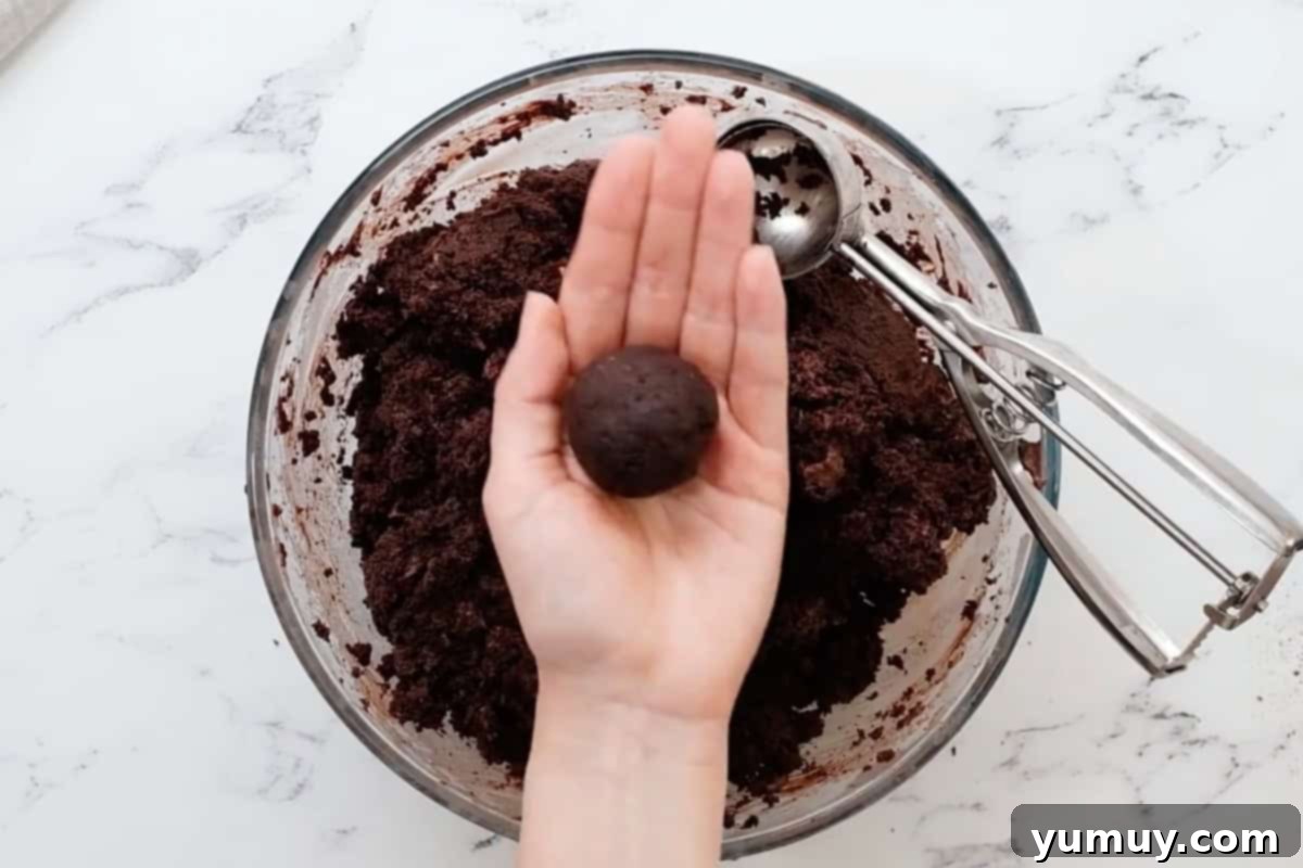 Bite Sized Chocolate Delights 19 A perfectly rolled chocolate cake ball, showcasing its smooth, dense texture.