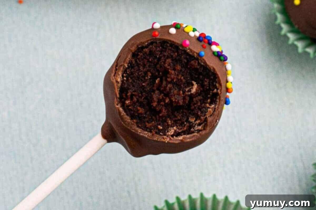 Bite Sized Chocolate Delights 3 A chocolate cake pop with a bite taken out, revealing its moist cake and frosting interior.