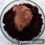 Bite Sized Chocolate Delights 8 Chocolate frosting added to chocolate cake crumbles.