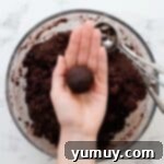 Bite Sized Chocolate Delights 9 Chocolate cake rolled into a ball.