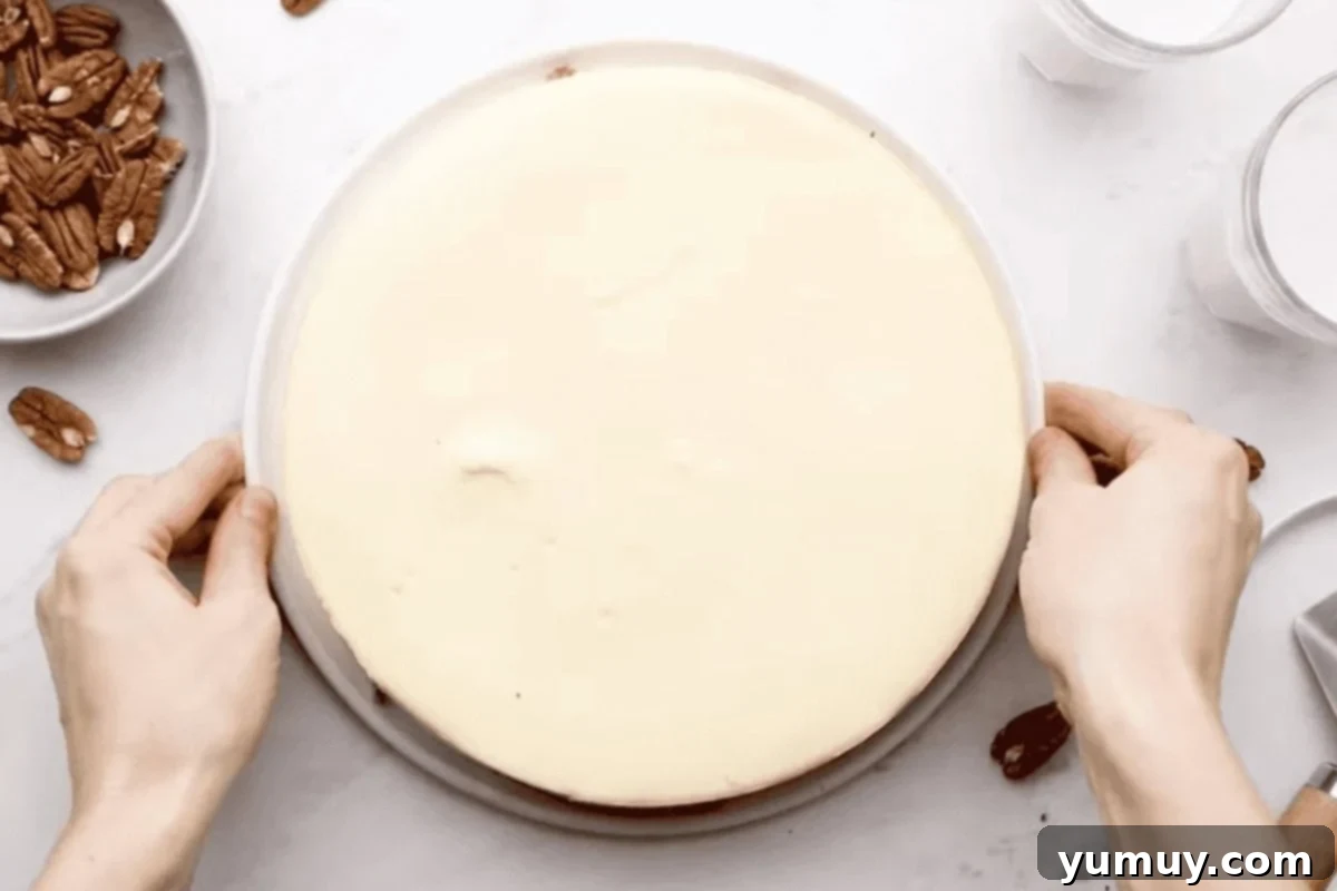 Overhead view of a perfectly baked carrot cake cheesecake cooling on a plate, ready for frosting.