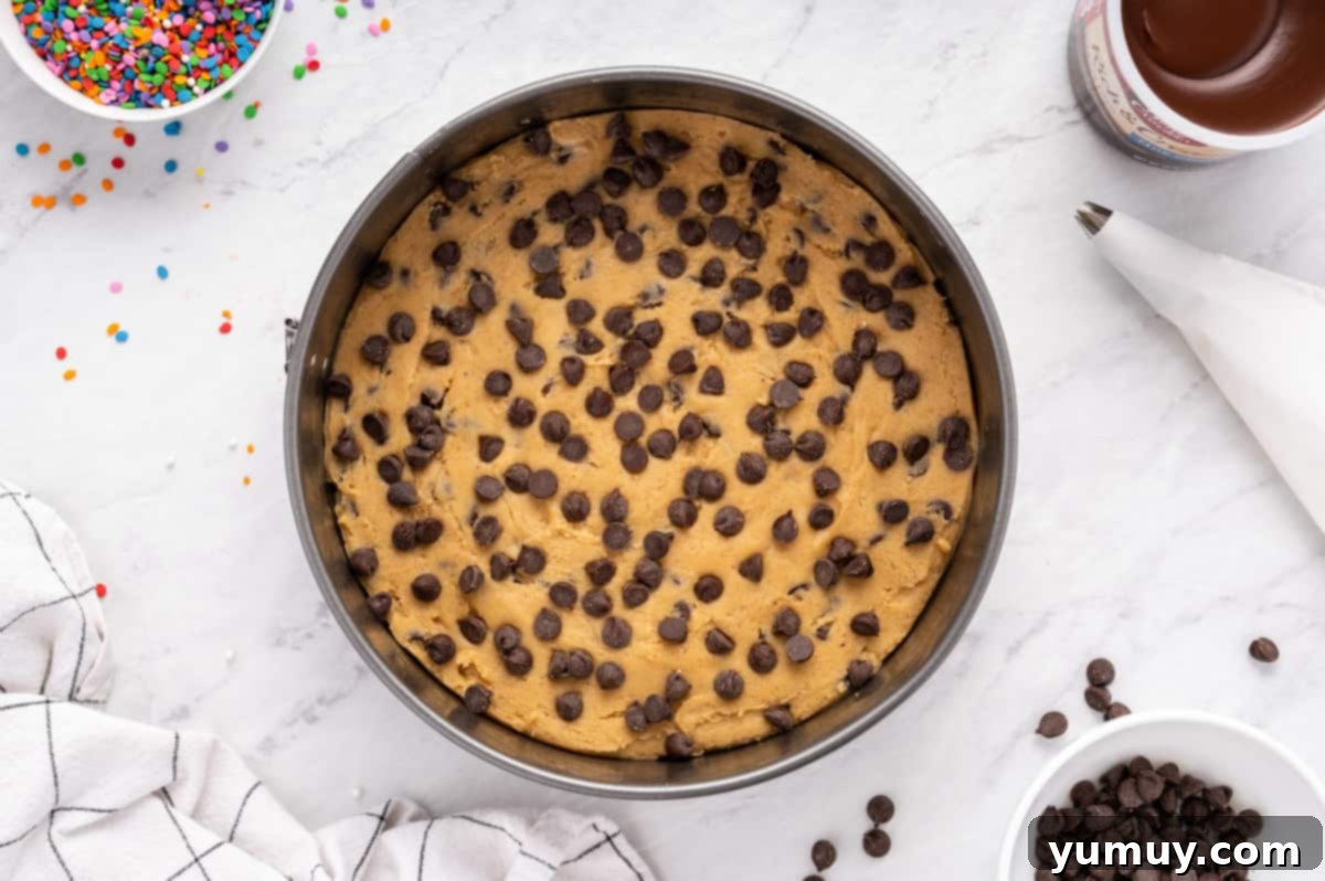 The Legendary Chocolate Chip Cookie Cake 22 chocolate chip cookie cake in a pan before baking