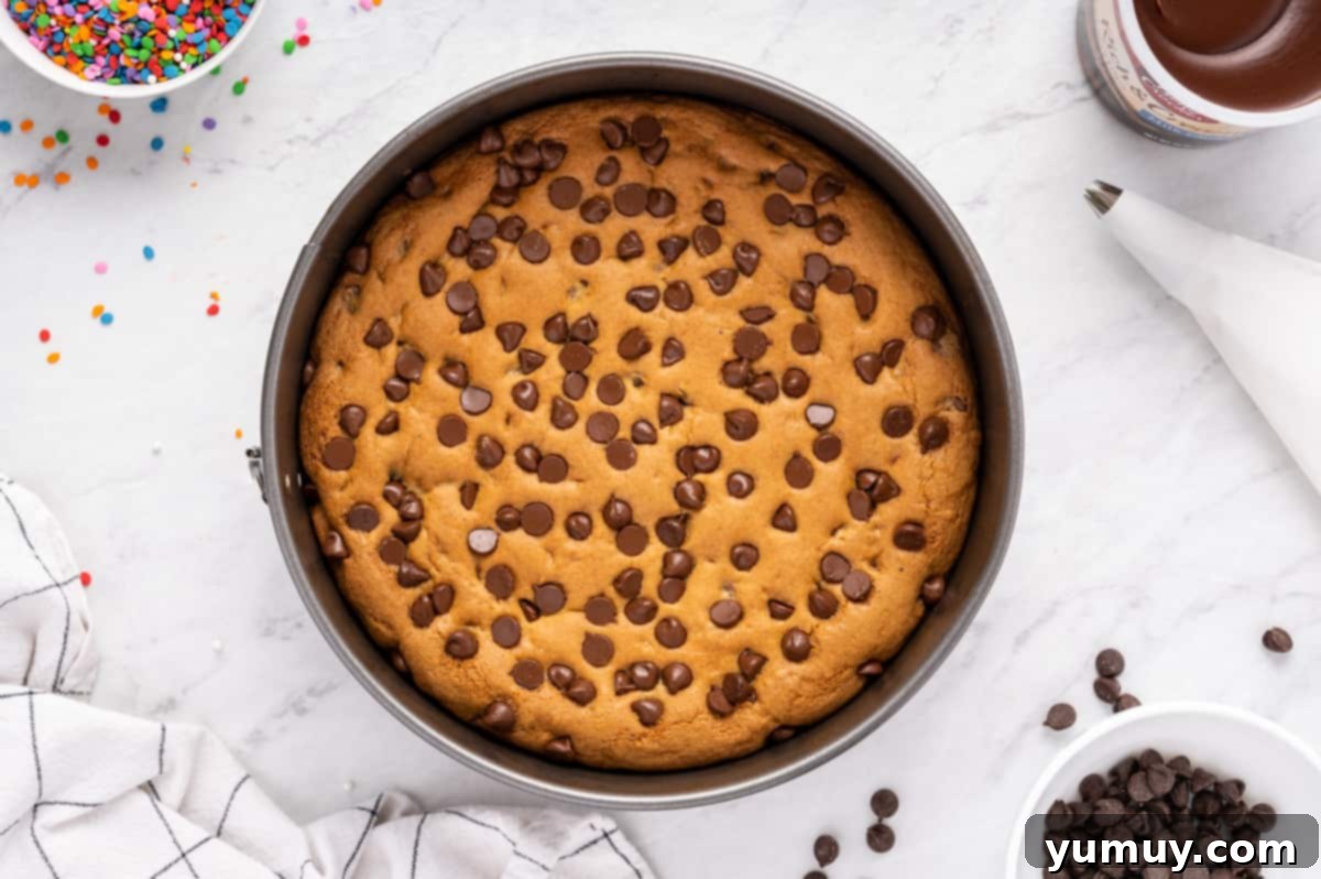 The Legendary Chocolate Chip Cookie Cake 23 chocolate chip cookie cake in a pan after baking