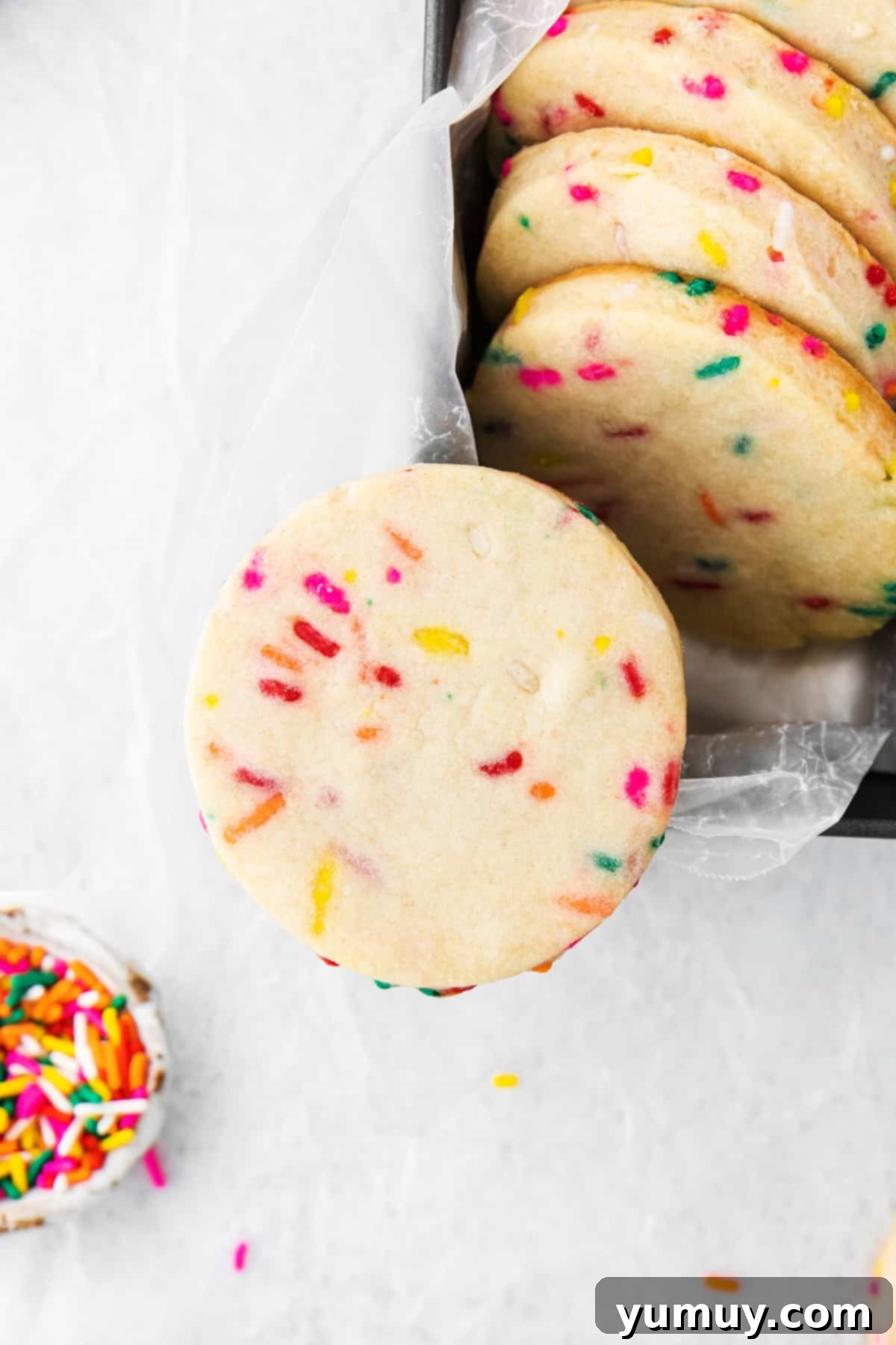 A close-up shot of a funfetti shortbread cookie, delicately balanced on the corner of a metal tin, showcasing its vibrant sprinkles.