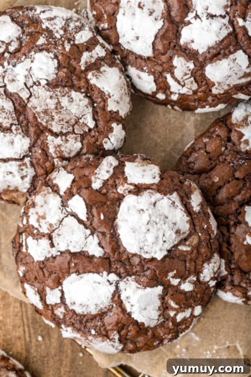 Decadent brownie mix crinkle cookies dusted with powdered sugar, showcasing their signature cracked surface.