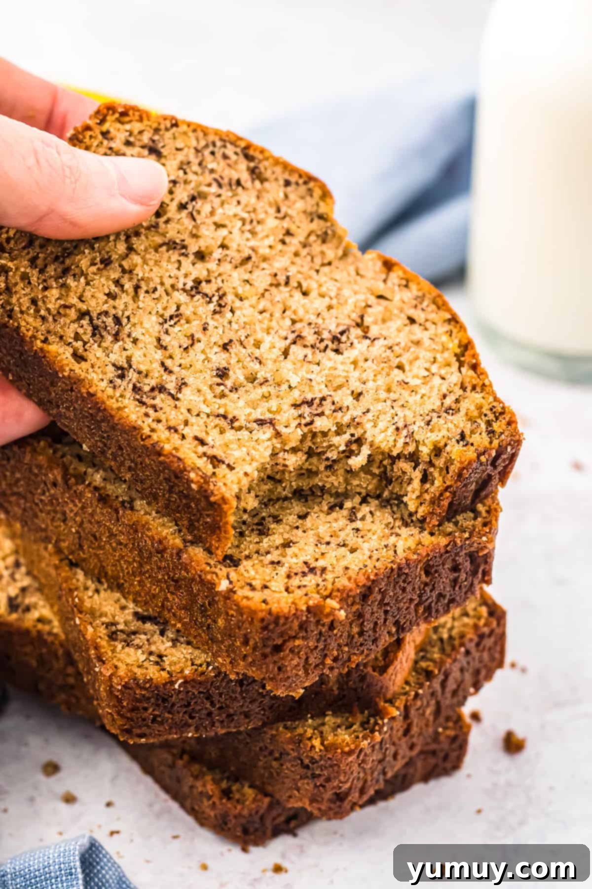 Hearty Bread Flour Cinnamon Banana Loaf 3 a single slice of moist cinnamon banana bread with a bite taken out