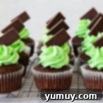 Mint Chocolate Peak Cupcakes 8 Andes mint cupcakes topped with green mint buttercream frosting and Andes chocolates, presented beautifully