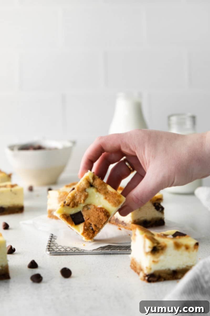 Decadent Chocolate Chip Cheesecake Squares 3 hand grabbing a chocolate chip cookie cheesecake bar