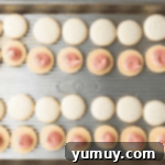 Berry Bliss Macarons 12 filling macaron shells with strawberry buttercream.