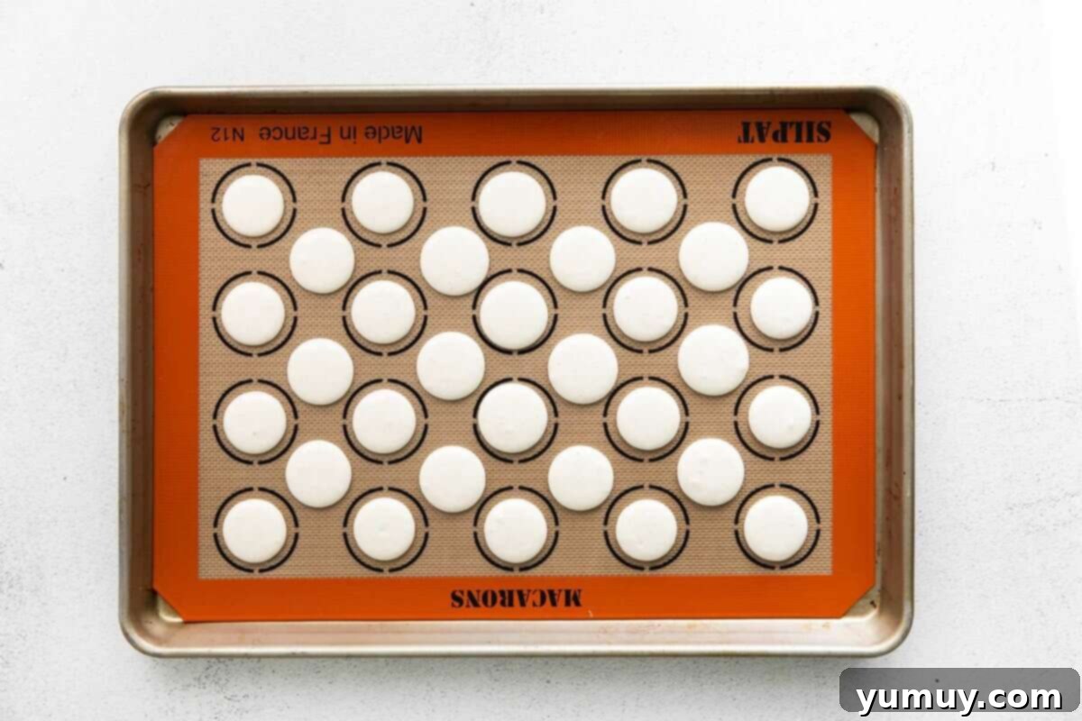 Berry Bliss Macarons 18 piped macaron shells on a silpat lined baking sheet.