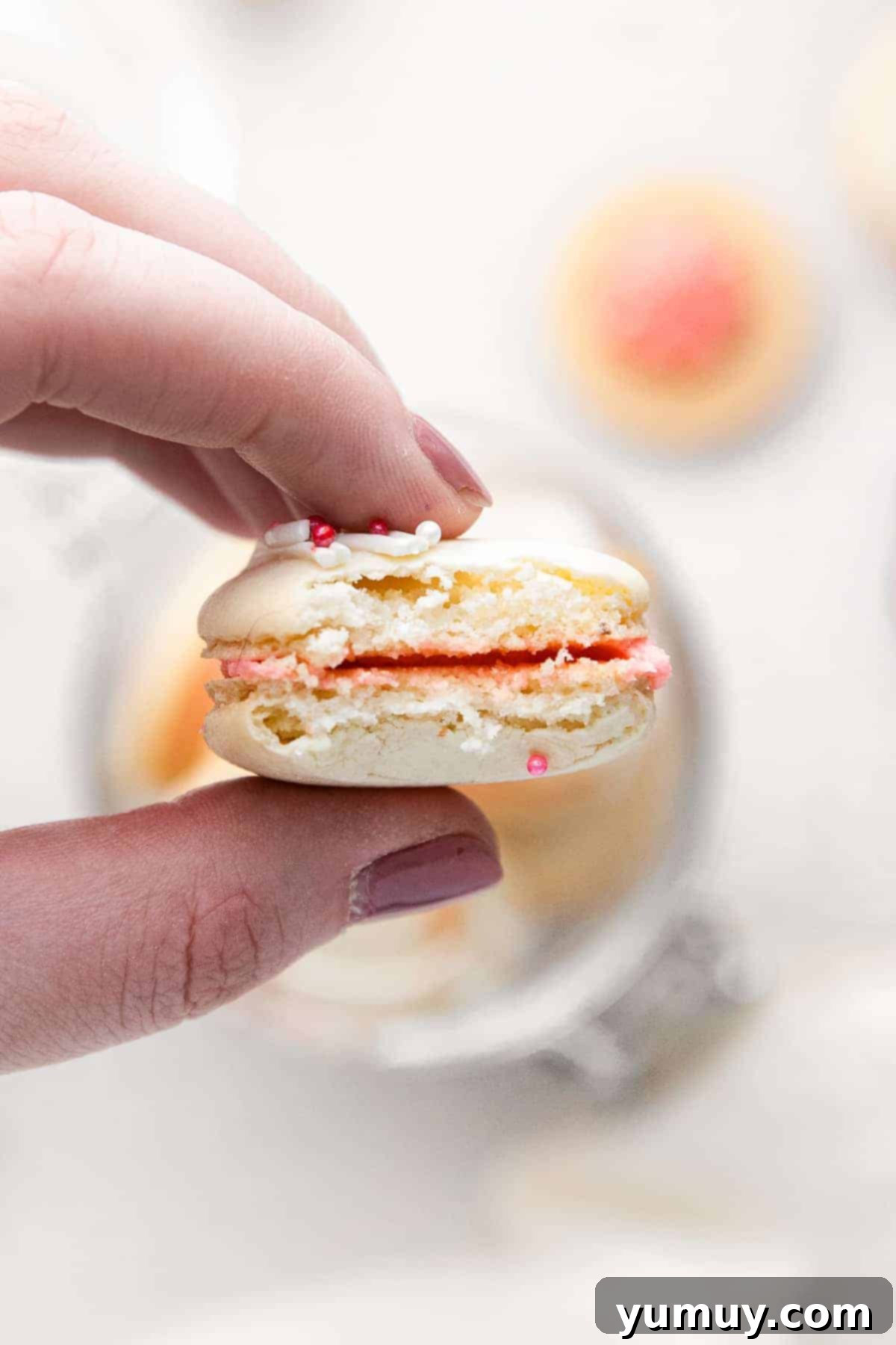Berry Bliss Macarons 3 holding up strawberry macaron with bite out