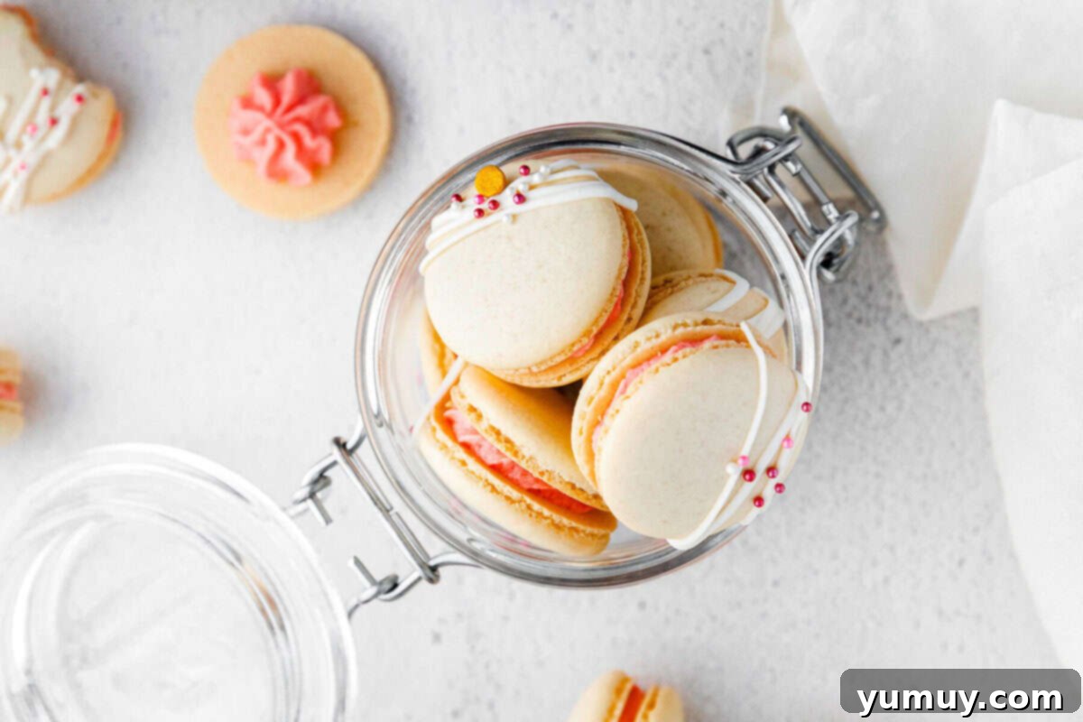 Berry Bliss Macarons 21 overhead jar of strawberry macarons