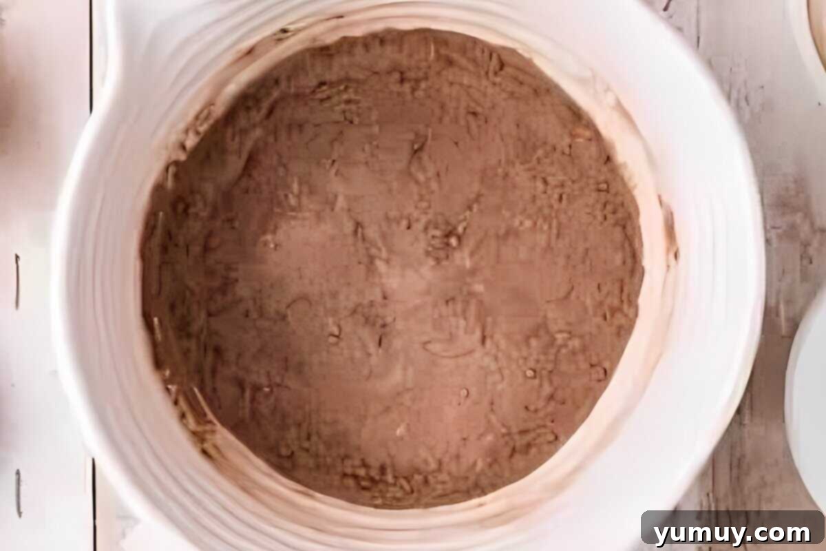 Dry ingredient mixture in a bowl, showing the cocoa powder, flour, sugar, and baking powder combined.