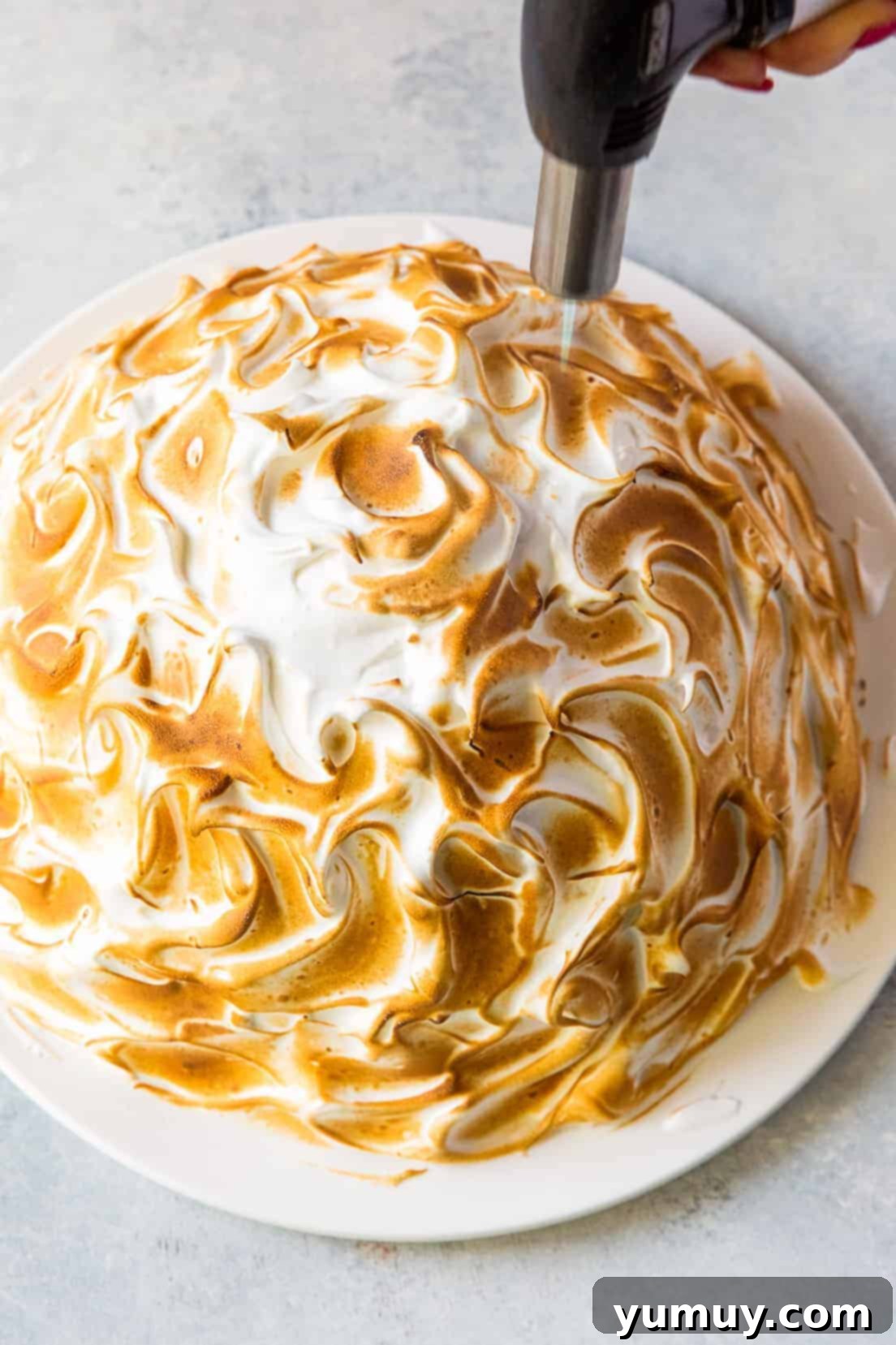 toasting baked alaska meringue