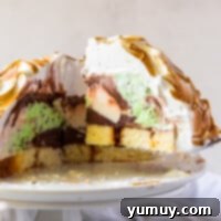 featured baked alaska