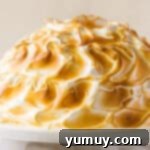 baked alaska with toasted meringue on cake stand