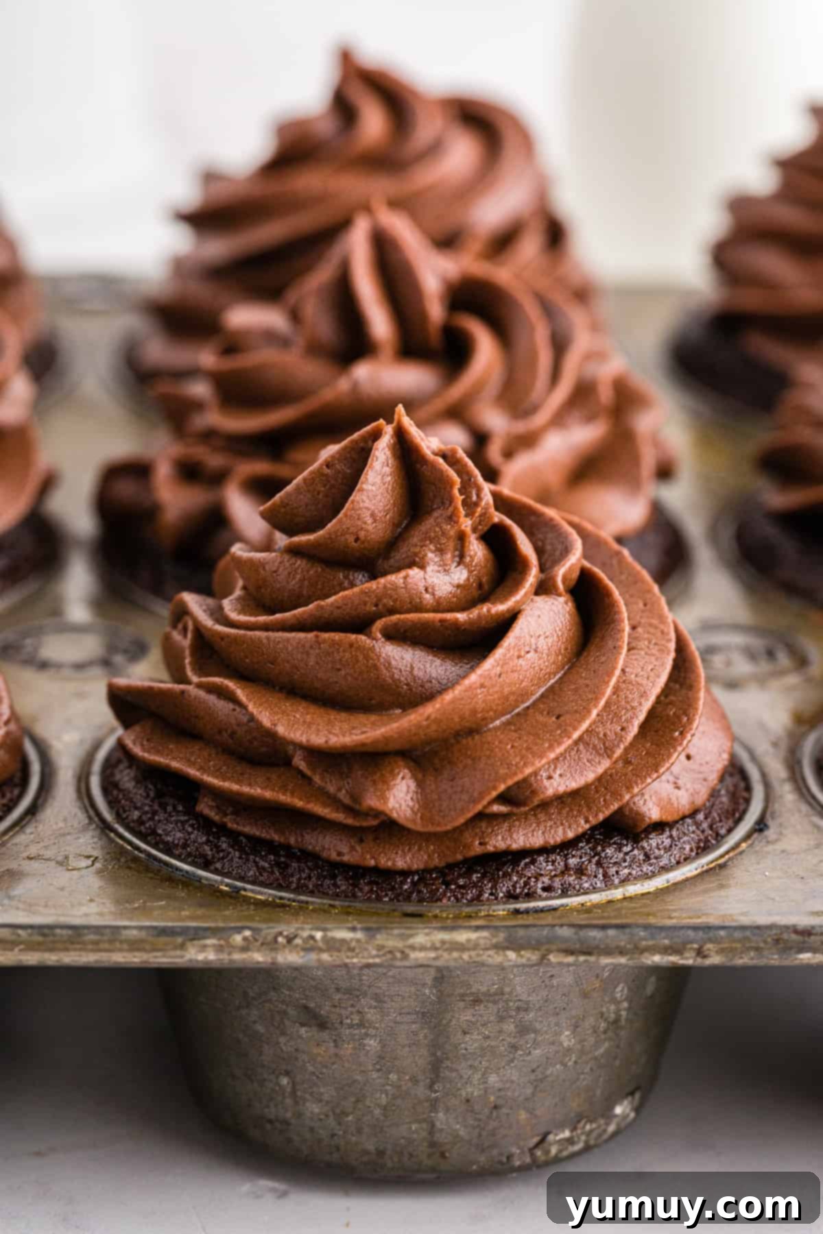 Velvet Chocolate Buttercream 2 chocolate buttercream frosting on chocolate cupcakes