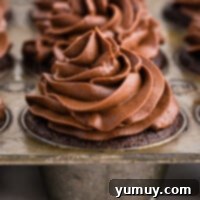 Velvet Chocolate Buttercream 4 featured chocolate buttercream frosting