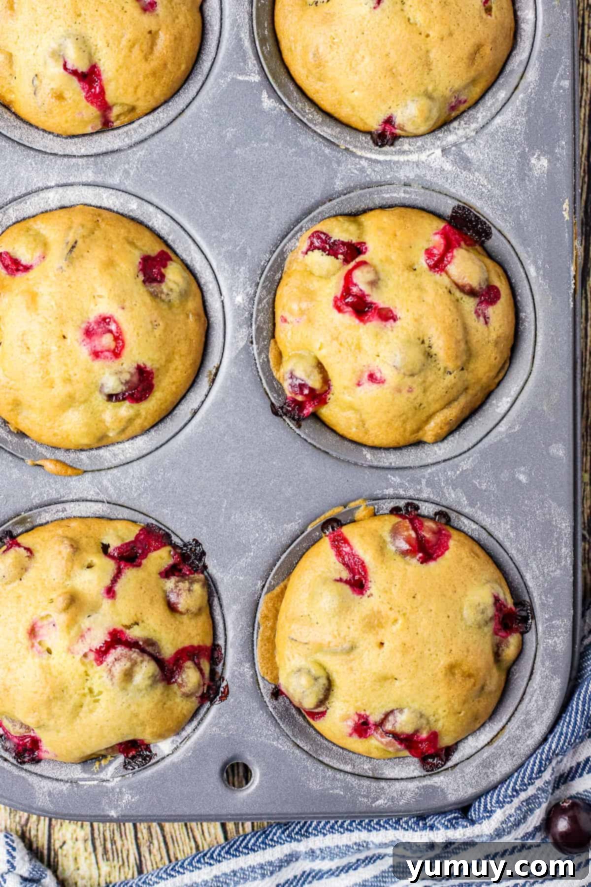 Perfectly baked Cranberry Orange Pecan Muffins in a tin muffin dish, showcasing their golden tops, vibrant cranberries, and scattered pecans.