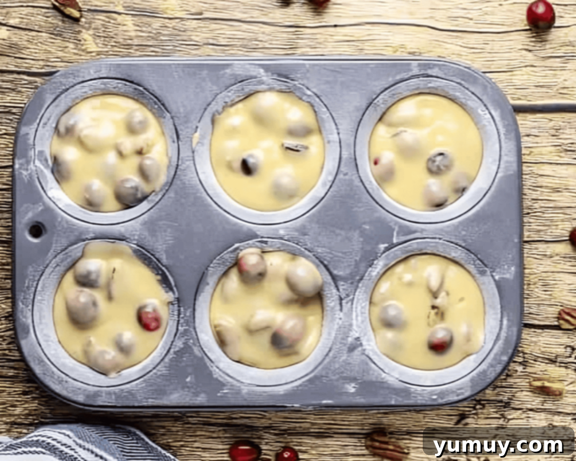 Orange cranberry pecan muffin batter neatly spooned into a muffin tin, each well approximately three-quarters full, perfectly ready for baking.