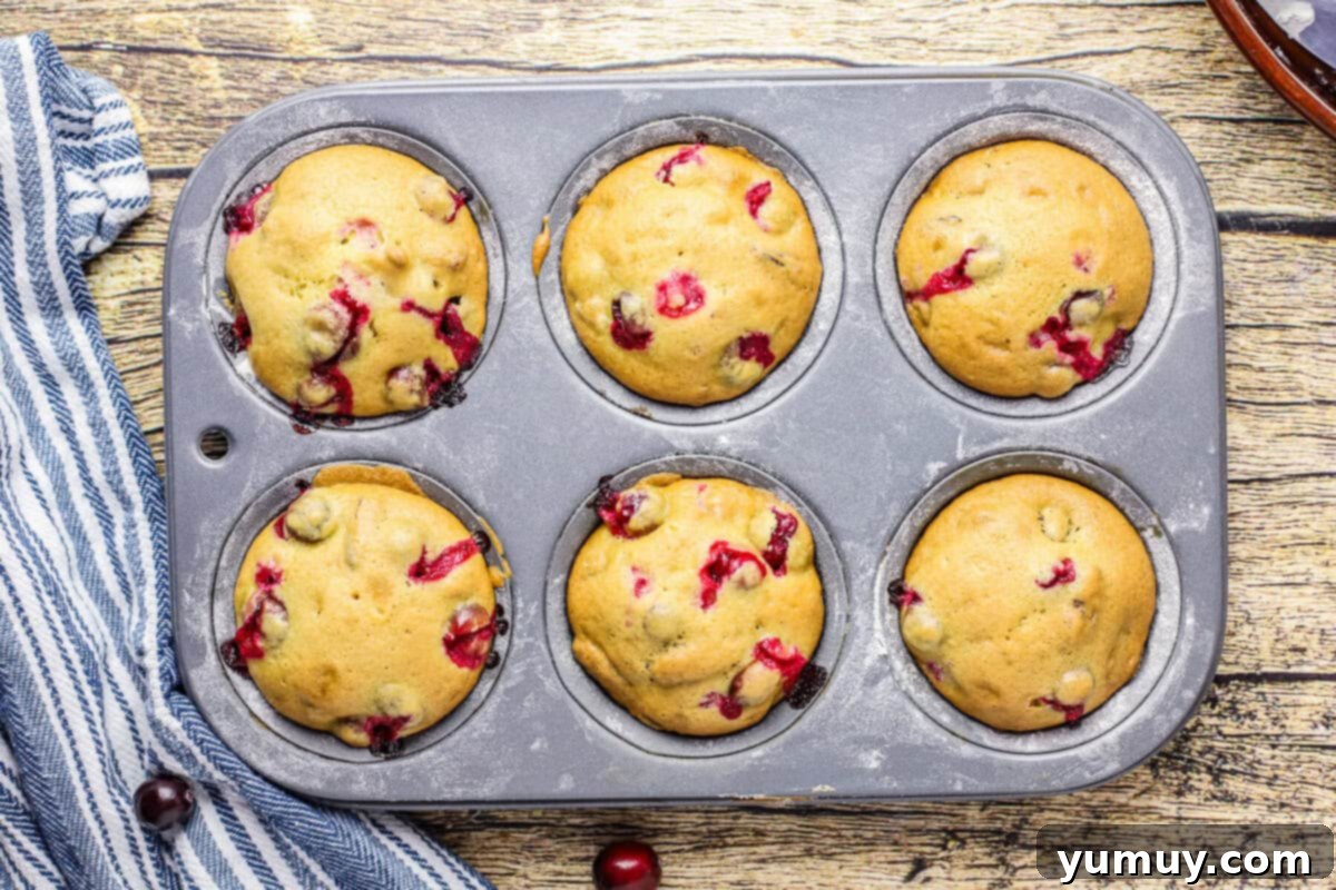 A freshly baked batch of golden-brown cranberry muffins, still warm in the muffin tin, cooling on a wire rack.