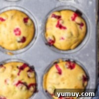 Cranberry Orange Pecan Muffins fresh out of the oven, still warm and golden in a tin muffin dish.