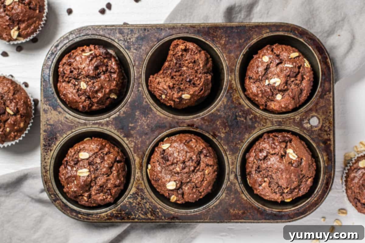Chocolate Oatmeal Bliss Muffins 11 Freshly baked healthy chocolate oatmeal muffins in a muffin tin, golden brown and delicious.