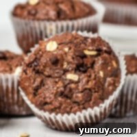 Chocolate Oatmeal Bliss Muffins 4 Featured healthy chocolate oatmeal muffins