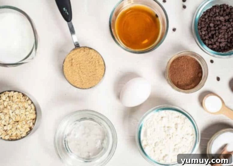 Chocolate Oatmeal Bliss Muffins 8 Ingredients for healthy chocolate oatmeal muffins laid out on a kitchen counter.