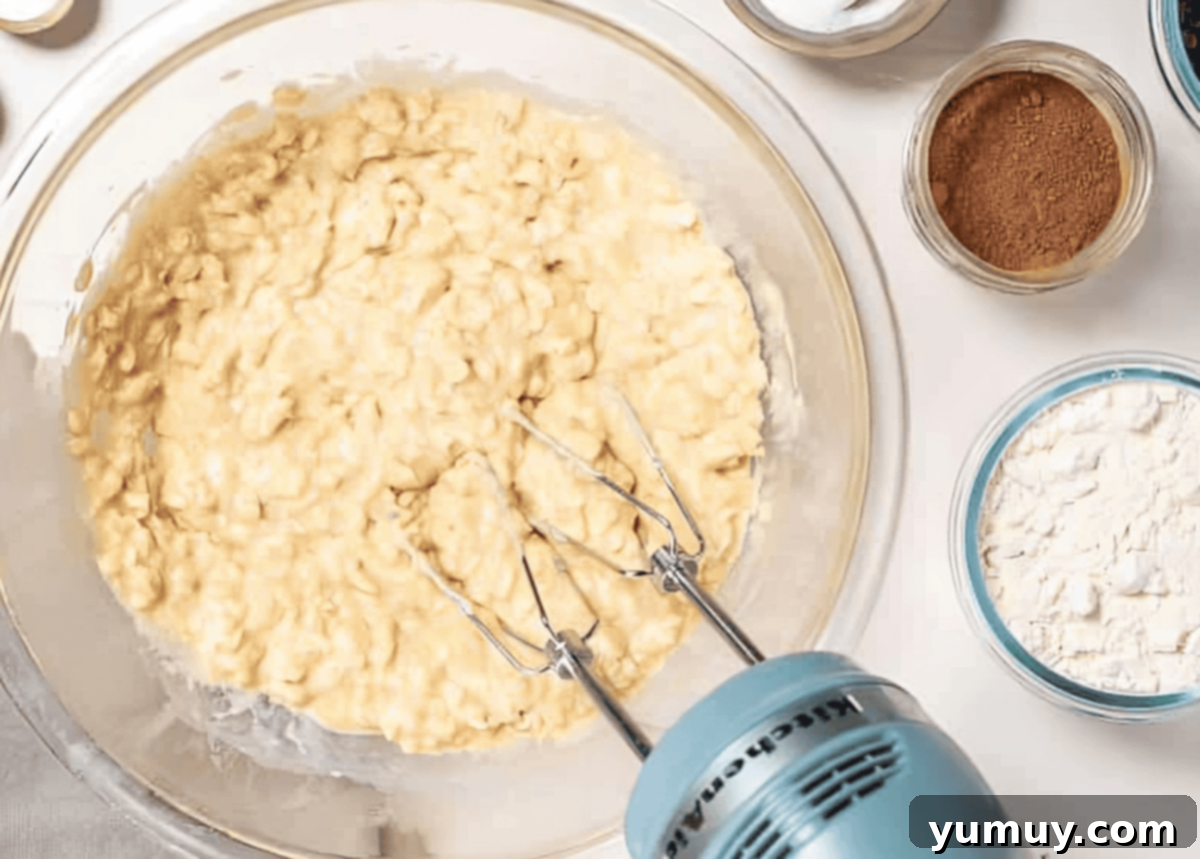 Chocolate Oatmeal Bliss Muffins 9 Beating muffin batter in a large bowl, demonstrating the wet ingredients mixed.