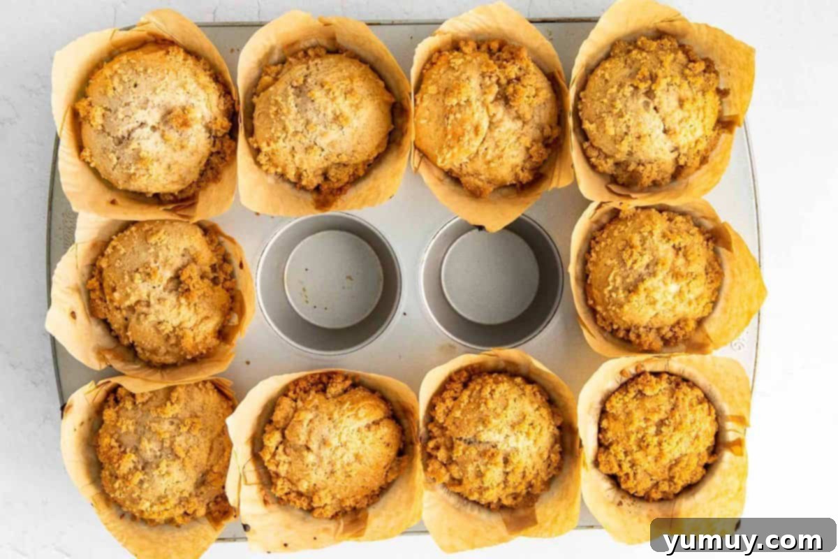 baked coffee cake muffins in a muffin tin.