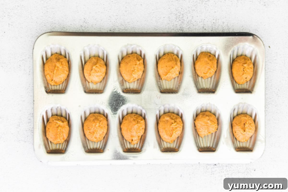 The Baker's 9 Essential Cookie Foundations 11 how to make pumpkin madeleines