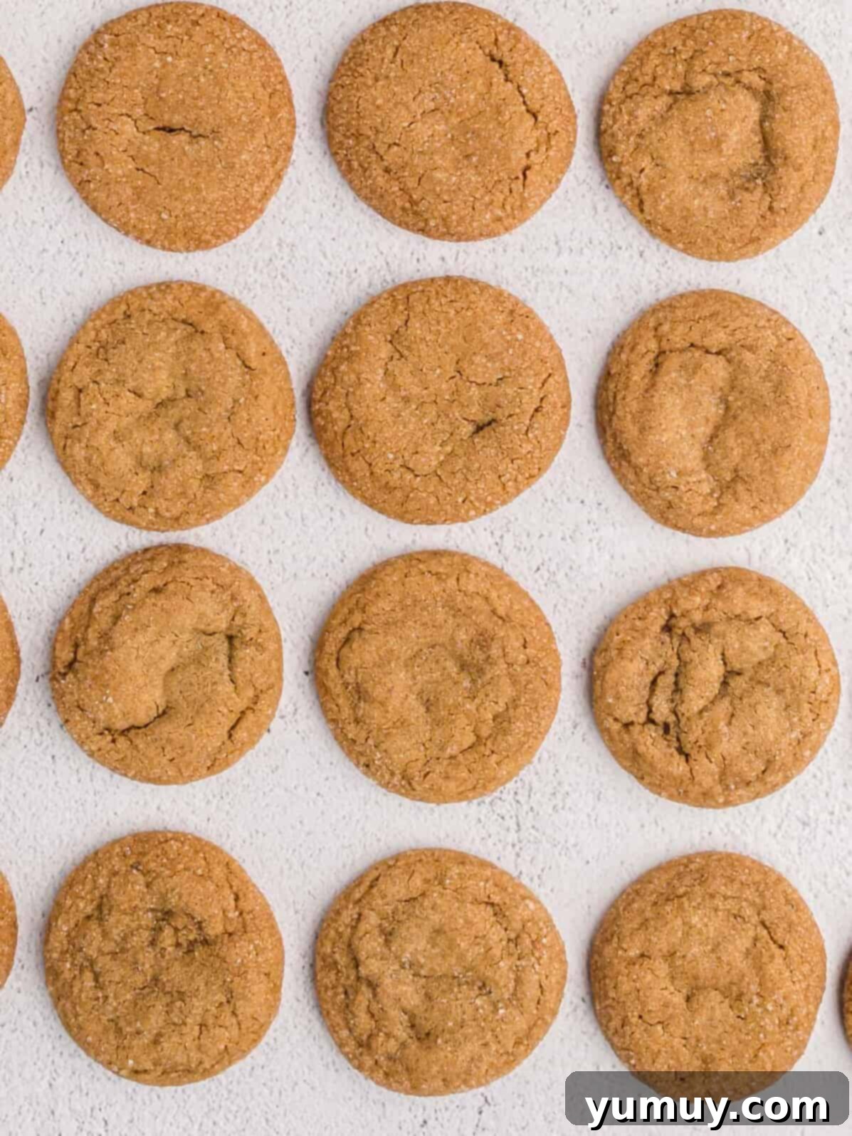 The Baker's 9 Essential Cookie Foundations 7 overhead view of ginger molasses cookies on a baking sheet.