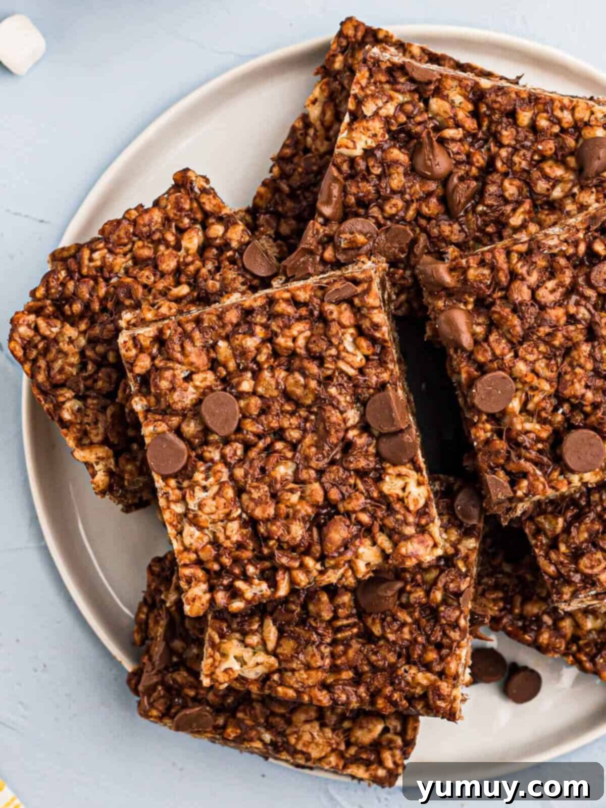 Chocolate Crackle Squares 2 Delicious chocolate Rice Krispie treats on a plate, showcasing their gooey, crispy texture.