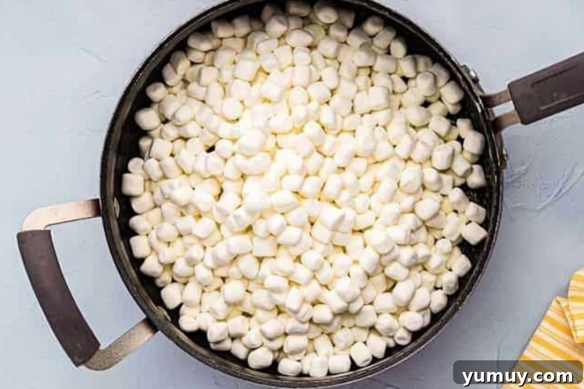 Chocolate Crackle Squares 6 Marshmallows melting in a pan with butter.