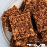 Chocolate Crackle Squares 4 Homemade chocolate Rice Krispie treats displayed on a plate.