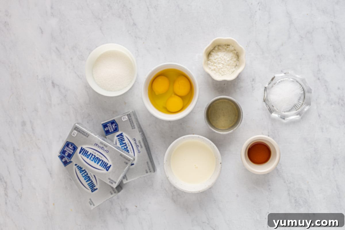 Overhead view of all chocolate caramel cheesecake ingredients laid out on a table.