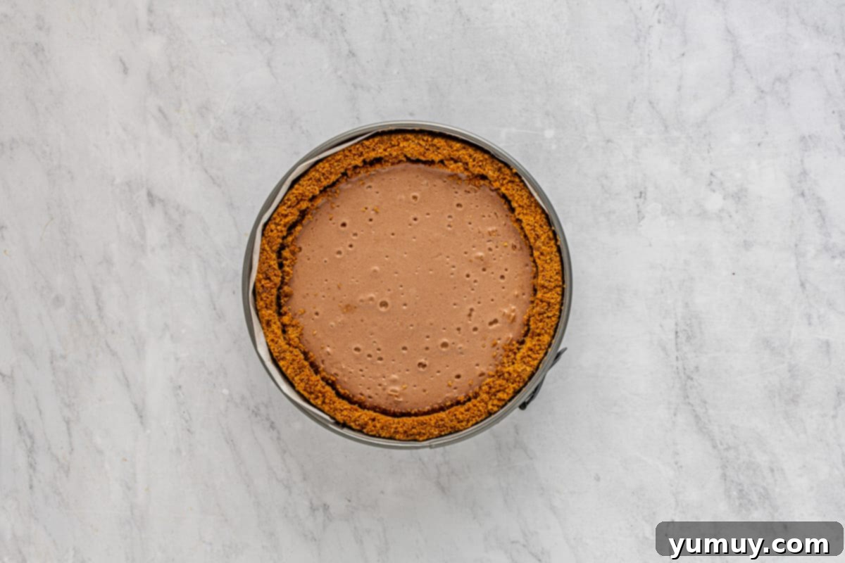 Layered chocolate caramel cheesecake baked in a springform pan, showcasing two distinct layers.