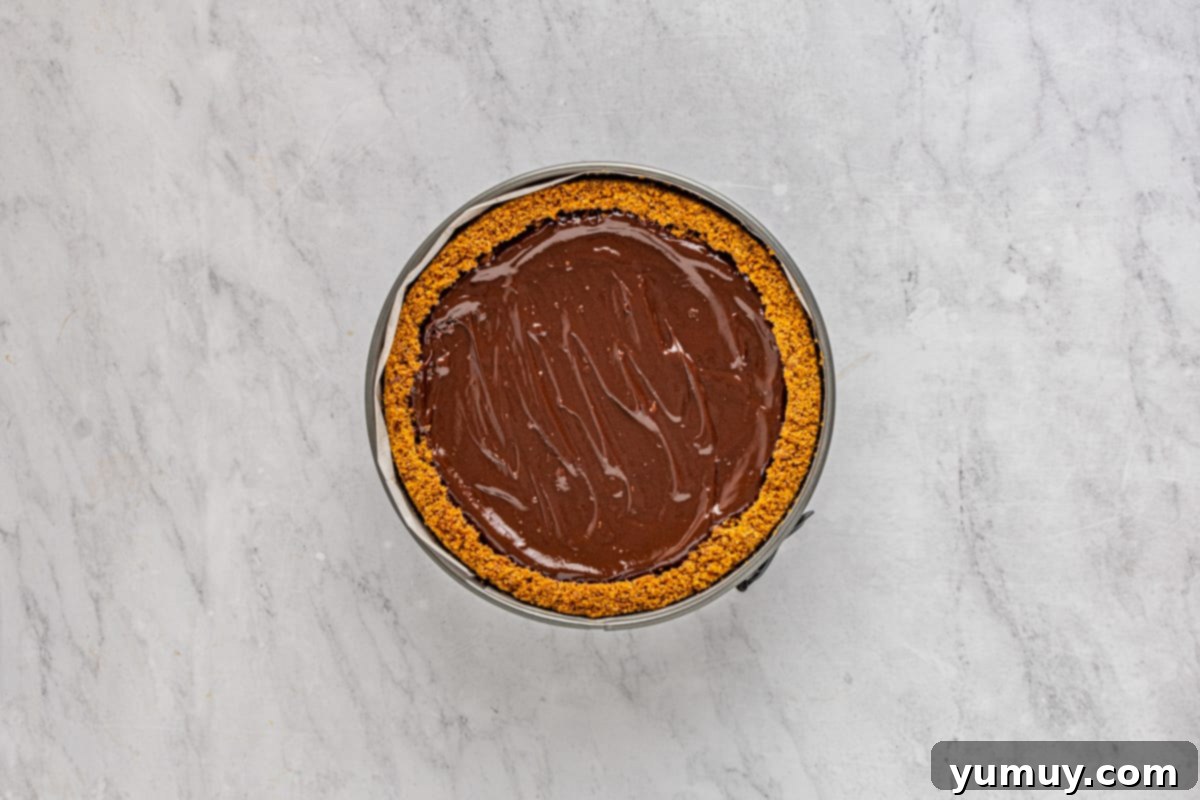 Chocolate caramel cheesecake topped with a smooth, glossy chocolate ganache in a springform pan.