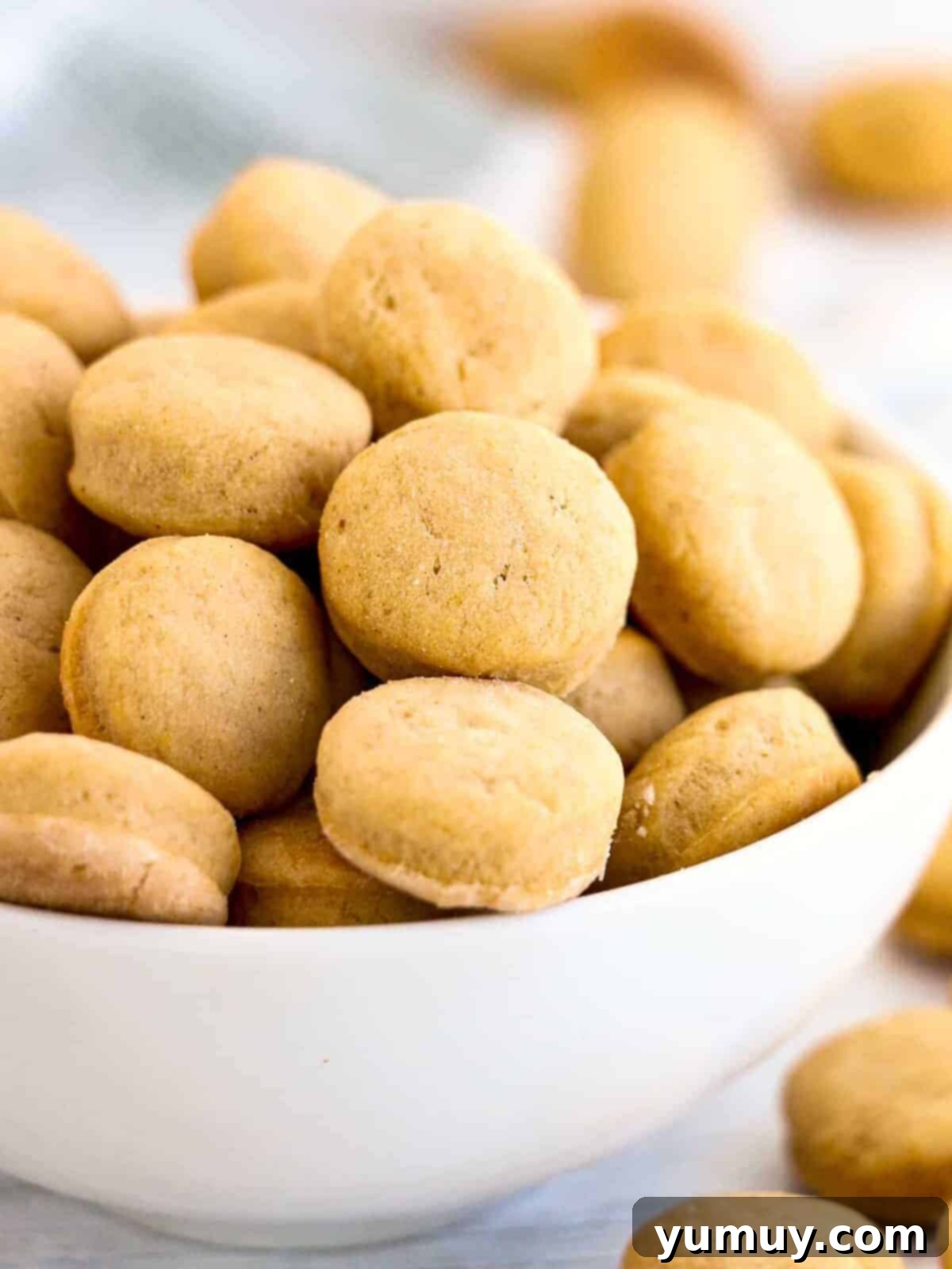 Pup's Peanut Delights 2 White bowl filled with homemade peanut butter dog treat cookies.
