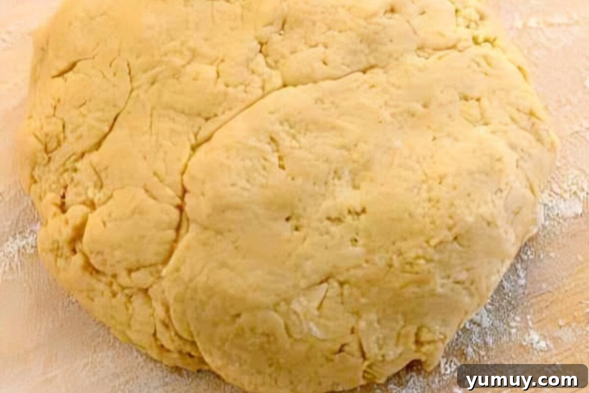 Pup's Peanut Delights 12 Disc of dough on a floured surface.