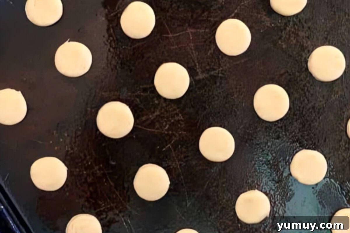 Pup's Peanut Delights 14 Round dog treat cookies lined up on a tray.