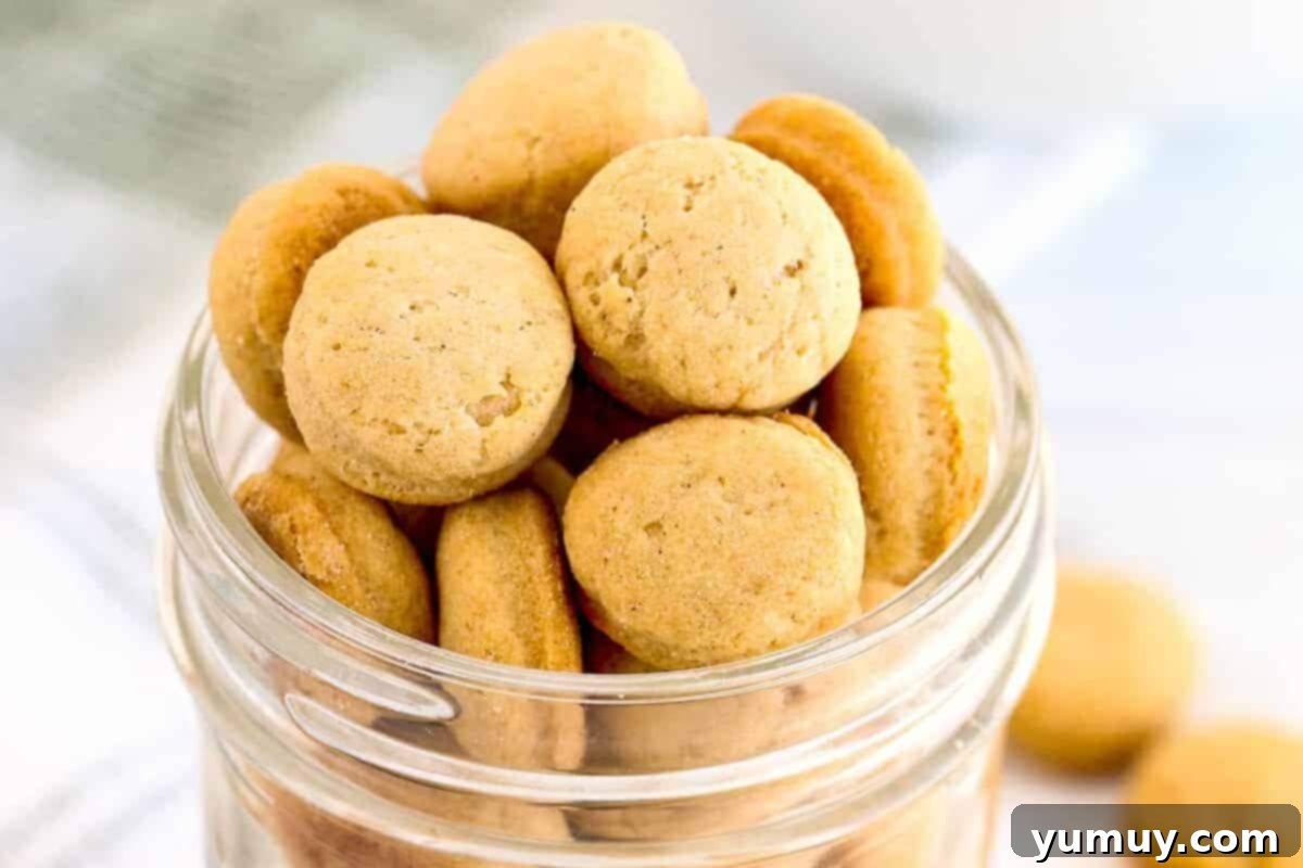 Pup's Peanut Delights 15 Jar filled with homemade dog treats.