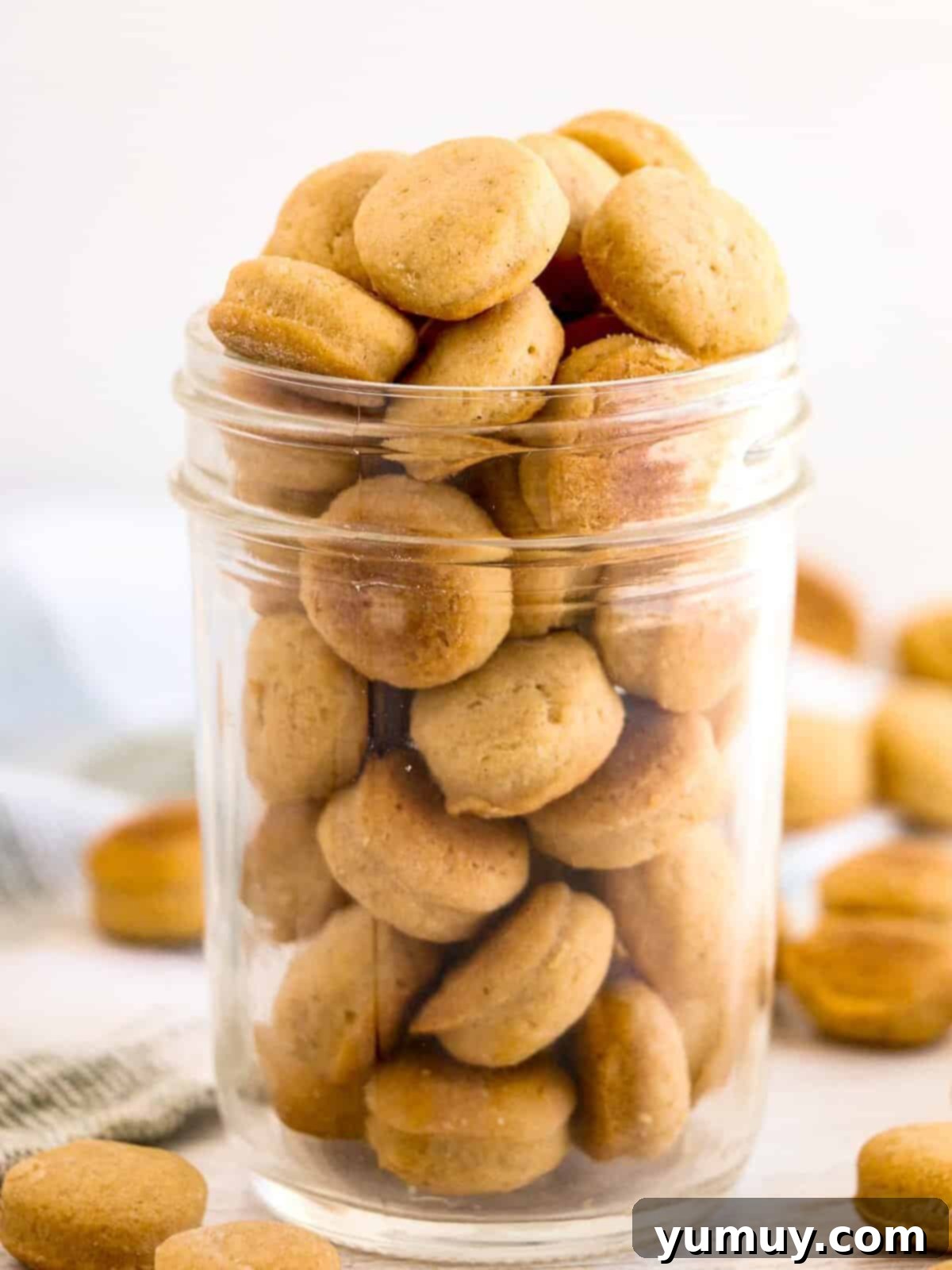 Pup's Peanut Delights 3 A jar filled with homemade peanut butter dog cookies.